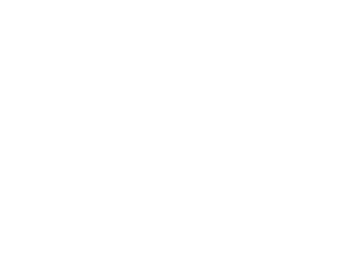 LBC_SOLUTIONSPRO2_Logo_ blanc_EXE_RVB.png
