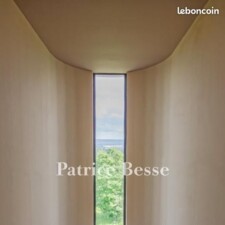 Photo Patrice Besse.jpg