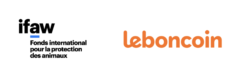 Capture d’écran 2023-07-07 à 10.42.13.png