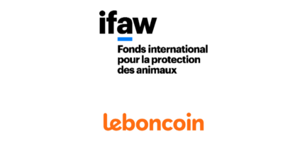 Protection des éléphants : leboncoin renforce sa politique de lutte contre le commerce de l’ivoire