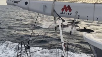 [PHOTO] Escorte le long des côtes africaines pour l'IMOCA MACSF