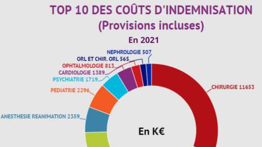 [INFOG] Top 10 des indemnisations en 2021