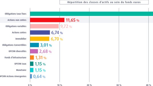 [INFOGRAPHIE] Répartition des actifs du fonds en euros MACSF
