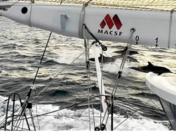 [La photo de mer] Solidarité maritime