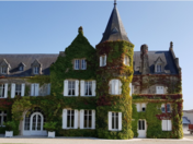 Vins : ces assureurs propriétaires de grands crus