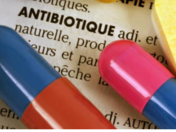 Prescription d'antibiotiques : pas sans risque