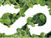 Ces rares assureurs qui soutiennent l'économie circulaire