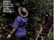 Protéger ses liquidités contre l'inflation