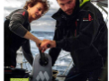 DES VERTUS DE LA NAVIGATION EN DOUBLE