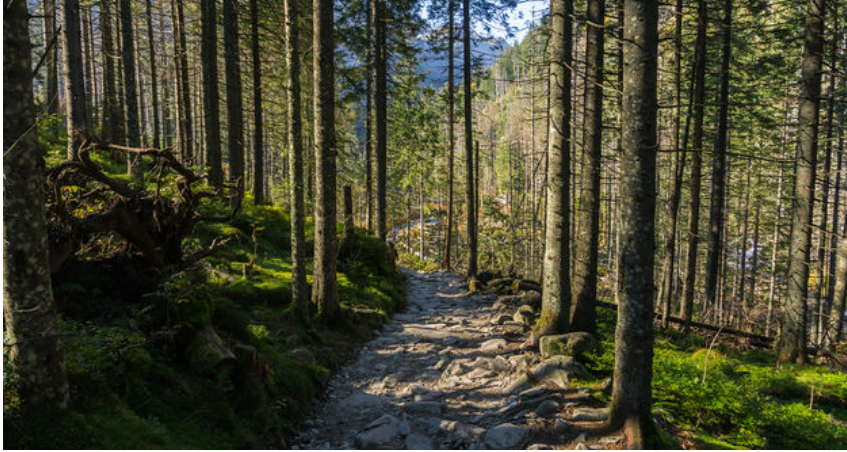 investissement responsable.PNG