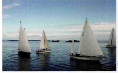 Moniteur du pharmacien.PNG