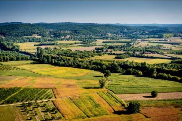 Capture photo campagne.JPG