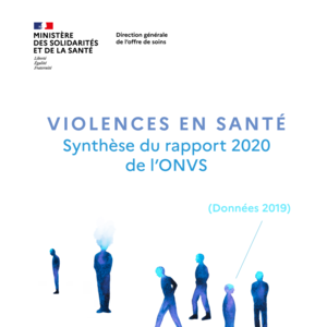 synthese_rapport_onvs_2020_donnees_2019_.pdf