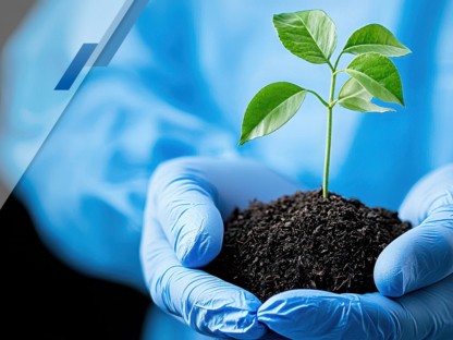 🌍 Journée mondiale de l’environnement : NephroCare renforce son engagement pour un avenir durable