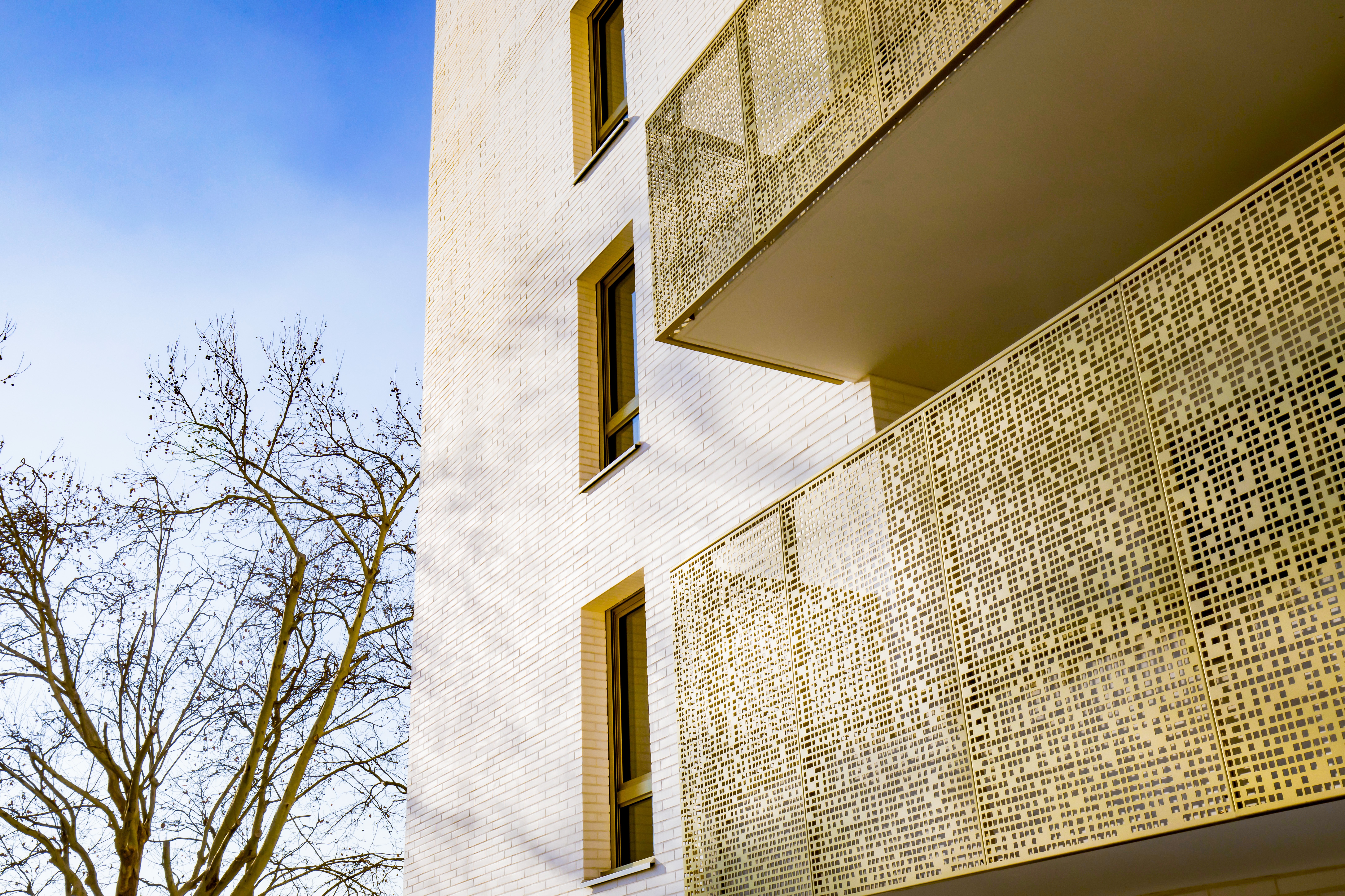 _EMBLEMATIK_© Vincent Bourdon8A0482.jpg