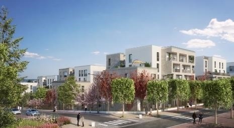 RUEIL TERRAY.jpg