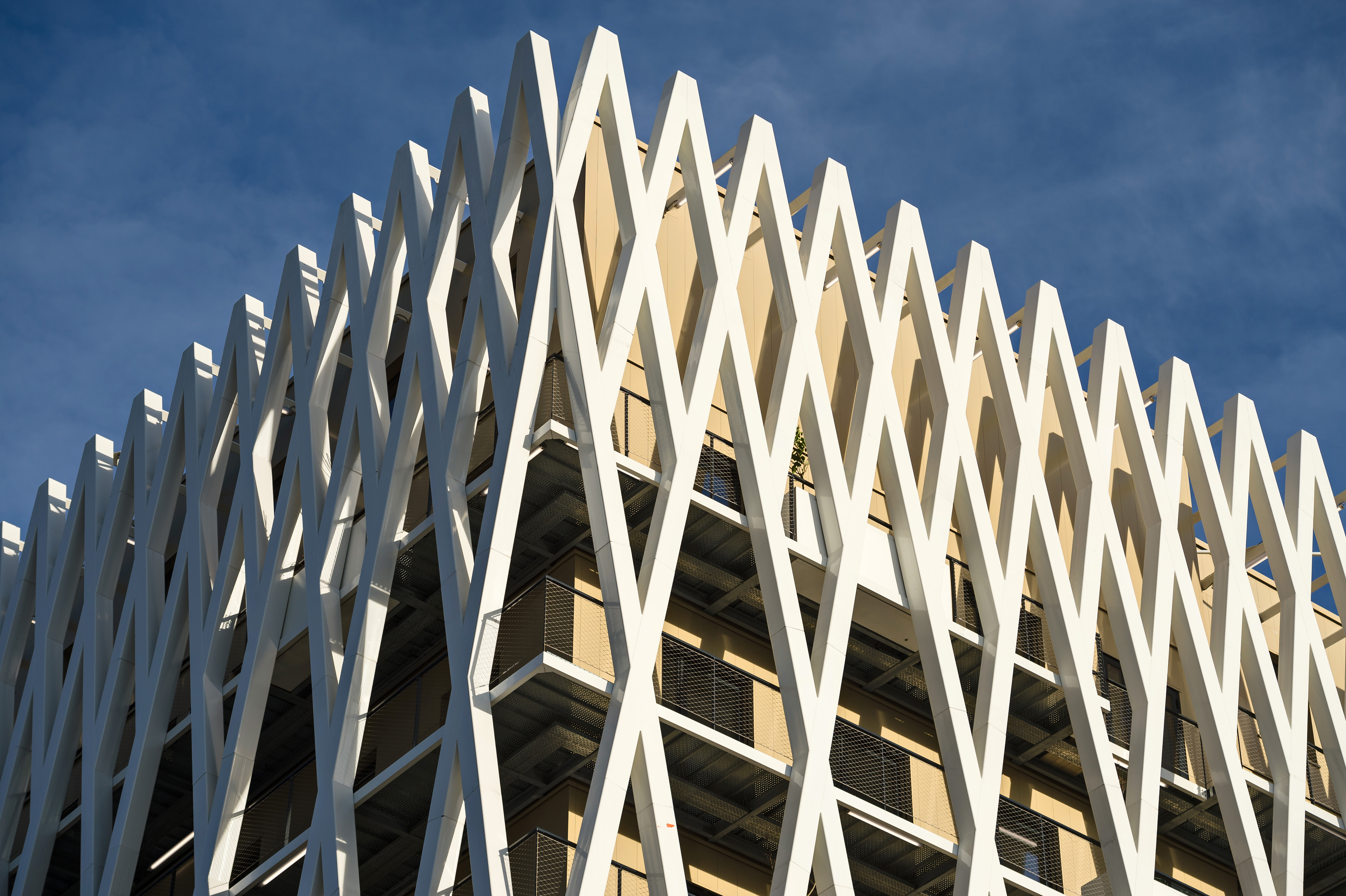 2020_02_PALAZZO_YBouvier-003.jpg