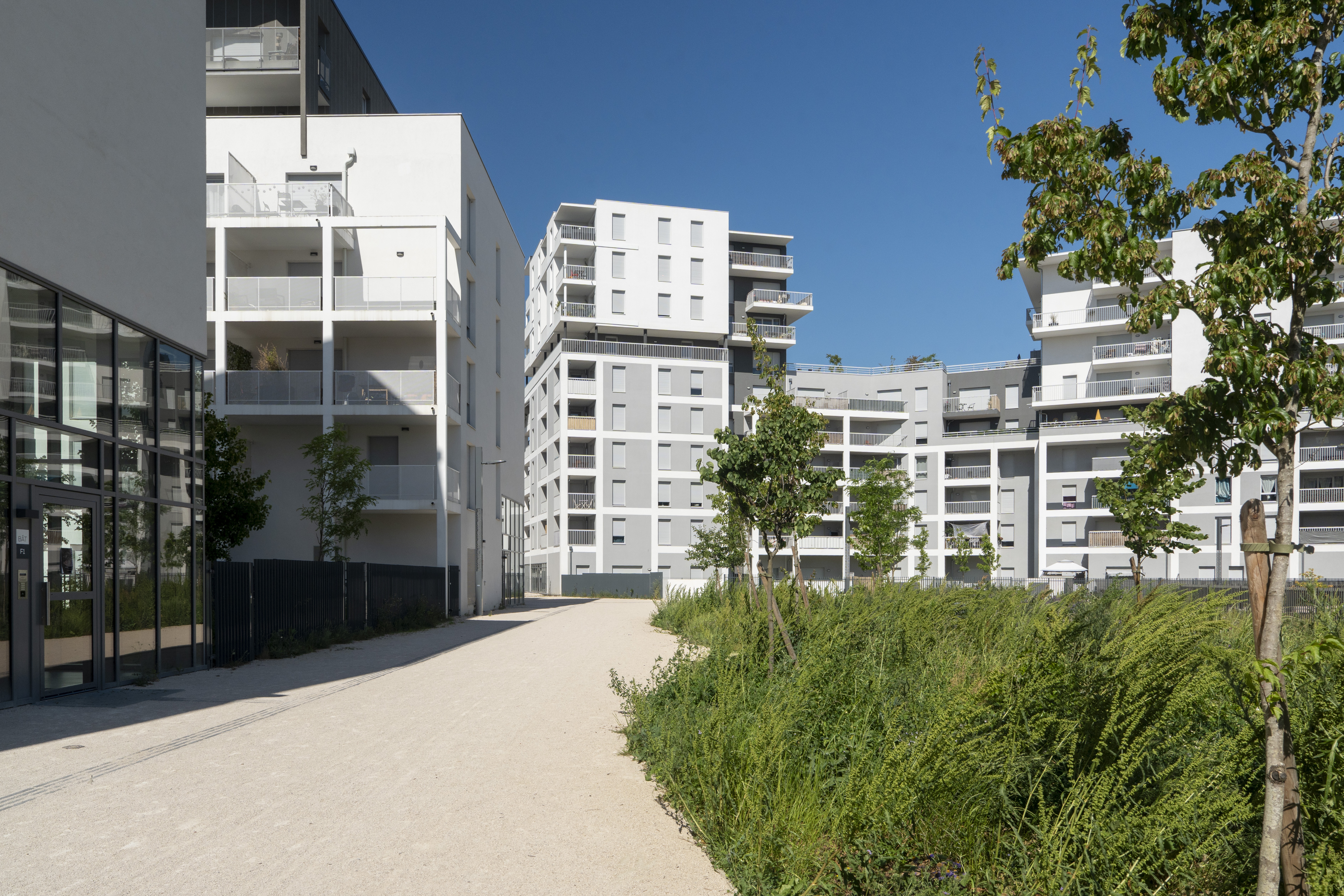Quartier Terrot 4 © Roz'Médias by Rozenn KREBEL