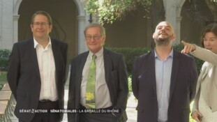 Sénat en action, La bataille du Rhône - «  Etienne, il fout la m… !  »