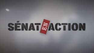 Le scandale Pétrocarbol passé à la loupe de Public Sénat