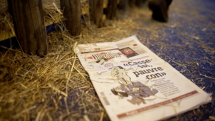 "Salon de l'agriculture, la politique en campagne" sur Public Sénat
