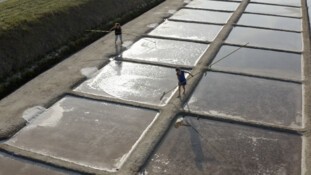 « Oléron, les sentinelles du climat », sur Public Sénat