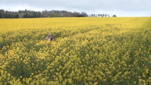 Public Sénat : « Paysans cinéastes », diffusé samedi 25 février