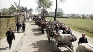 "L'exode" à hauteur de réfugiés