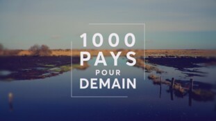 Public Sénat / Morgane Production : lancement du magazine mensuel « 1 000 pays pour demain »