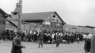 Un lauréat du grand prix Fipadoc sur Public Sénat : "Moissons sanglantes. 1933, la famine en Ukraine"