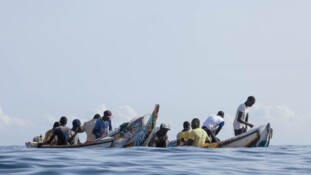 Quatre documentaires de Public Sénat sélectionnés au Figra