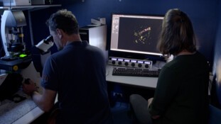 Sortez les microscopes sur Public Sénat - "Ces microbes qui nous veulent du bien" sur Public Sénat