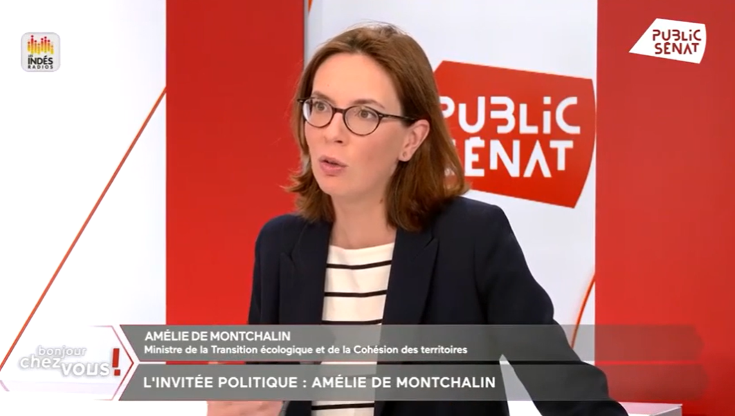 Capture BCVO Amélie de Montchalin.PNG