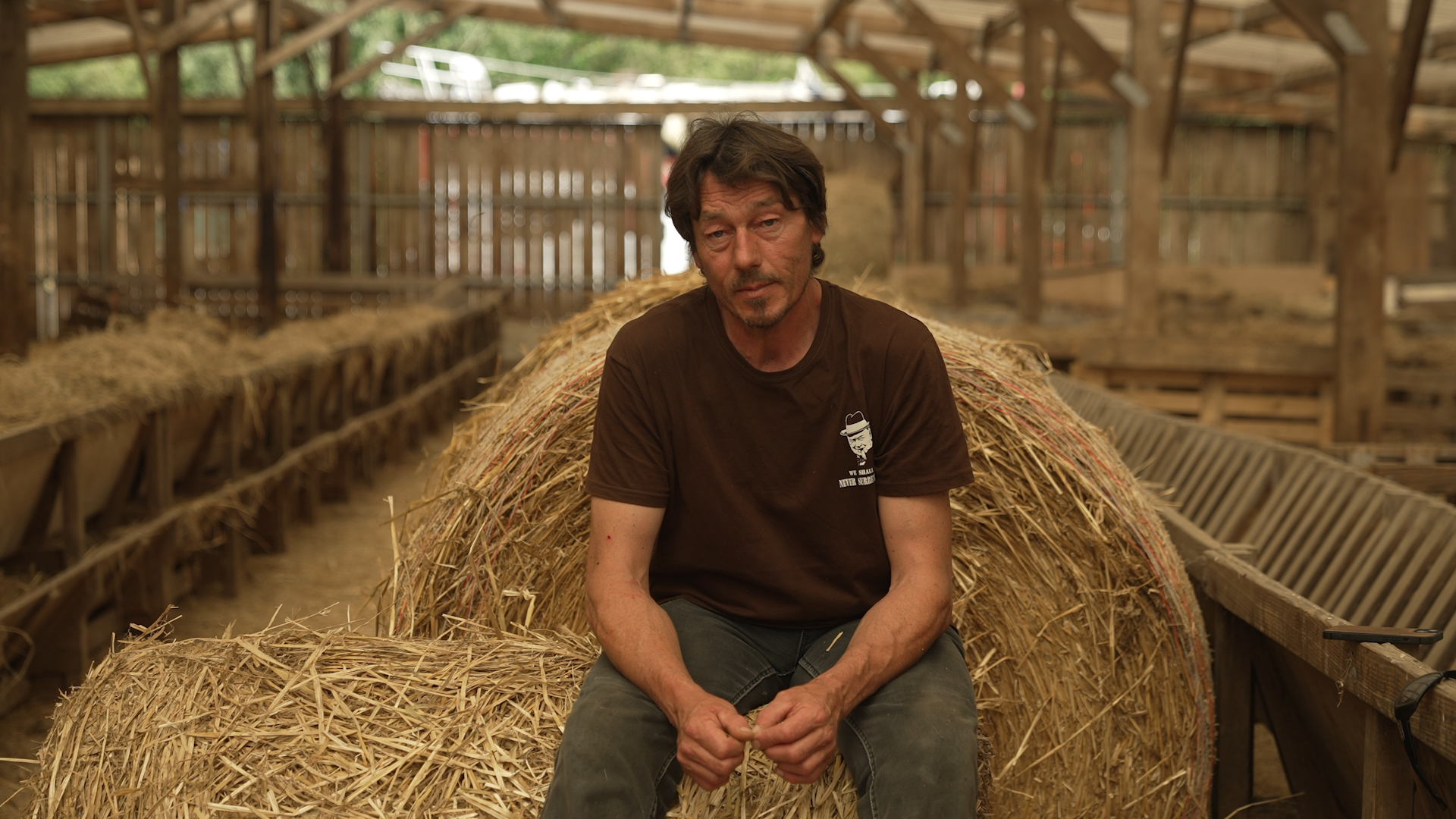 la guerre des moutons (4).png