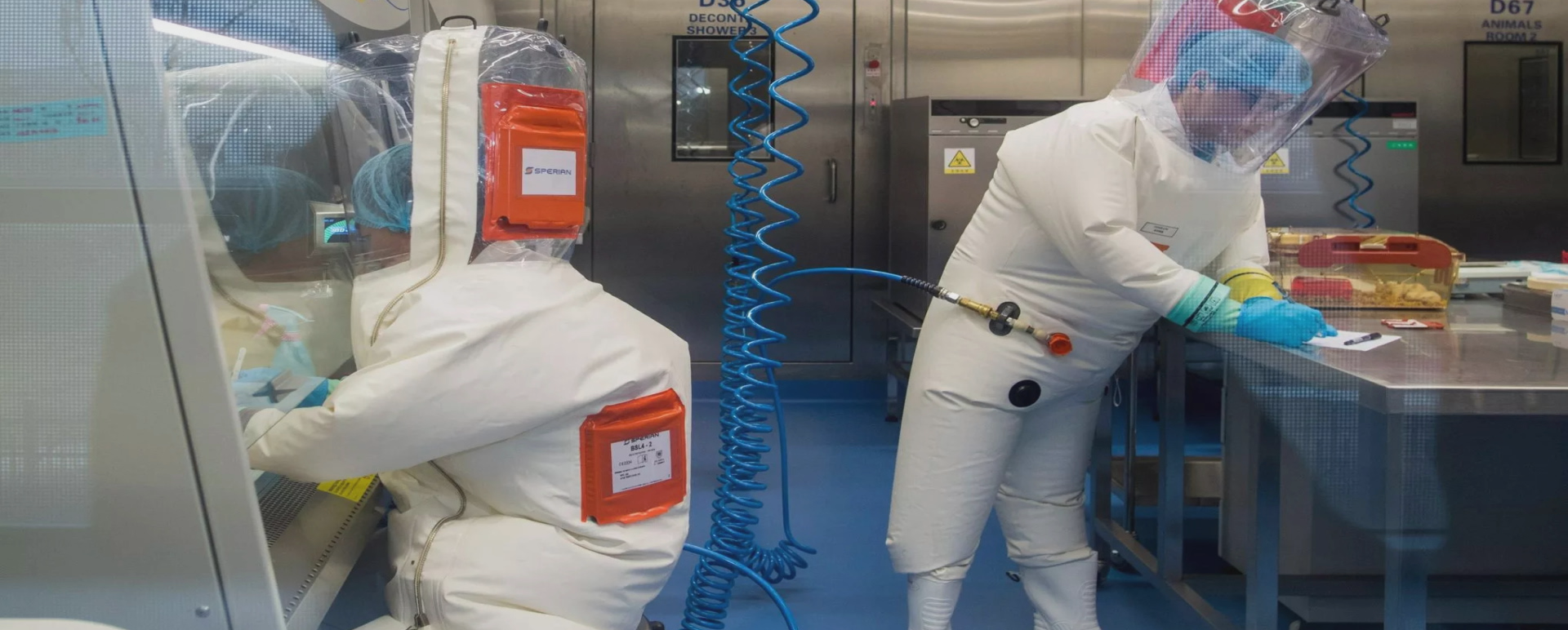 Covid, le secret des origines