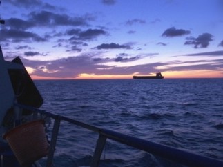 Les Temps Forts du Samedi 14 au Vendredi 20 décembre 2019