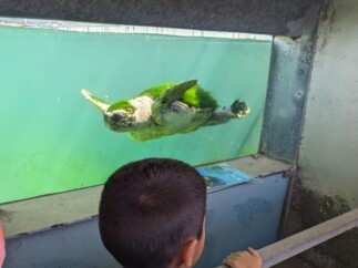 Ecoweek Allianz 2.JPG