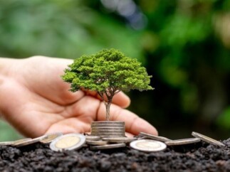 fondos sostenibilidad.jpg