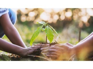 PLAN EPARGNE AVENIR CLIMAT.jpg