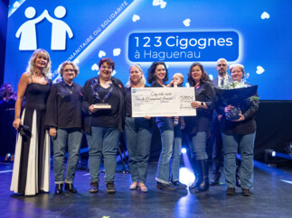 1.2.3 Cigognes