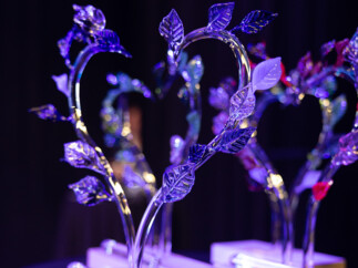 Trophées Prix de l'Engagement Associatif 2025