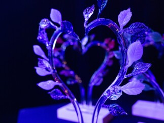 [Photos] Sausheim - Prix de l'Engagement Associatif 2025