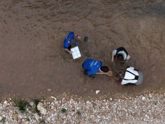 Voluntariado analiza biodiversidad en el río Mijares
