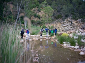 Voluntariado ambiental en el río Mijares