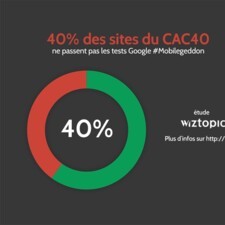 Infographie Google Mobilegeddon CAC40