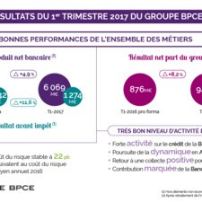 Infographie - PNB, RAI et RNPG au T1 2017 - Résultats du Groupe BPCE