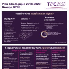 Infographie plan stratégique Groupe BPCE TEC 2020