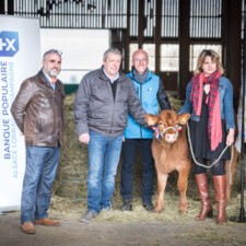 Parrainage du premier veau STABILISER en France