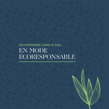 entreprendre_eco_responsable_ouvrage.pdf