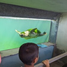 Ecoweek Allianz 2.JPG